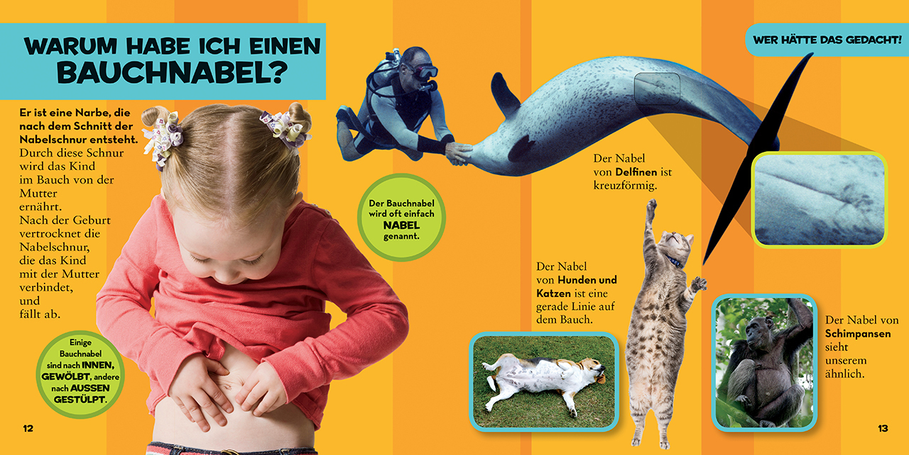 Bild: 9788854037595 | Mein großes Buch der Fragen | National Geographic Kids | Amy Shields