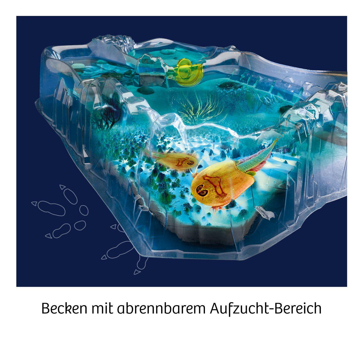 Bild: 4002051637231 | Fun Science Triops züchten | Experimentierkasten | Spiel | 637231