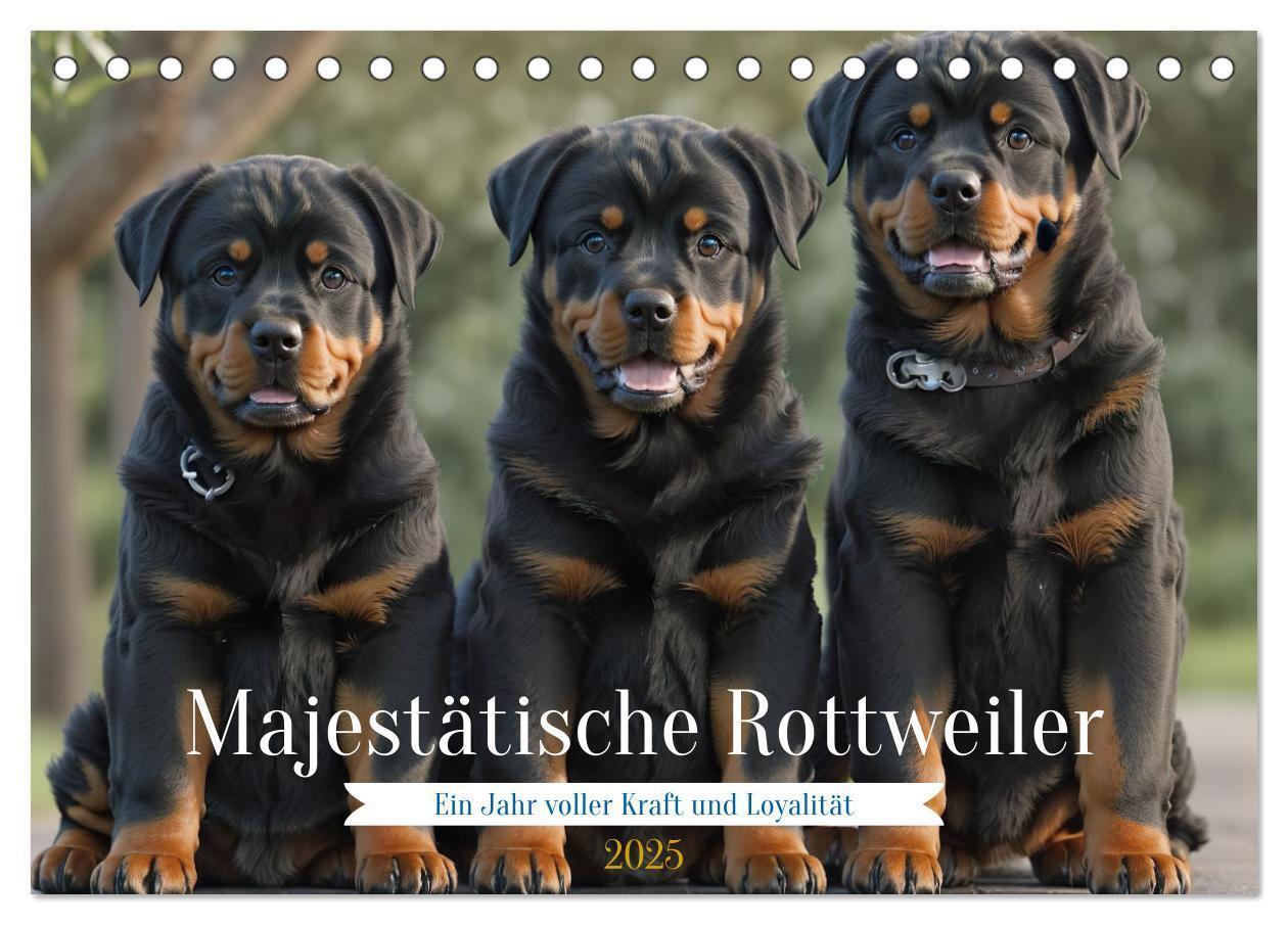 Cover: 9783383846434 | Majestätische Rottweiler: Ein Jahr voller Kraft und Loyalität...