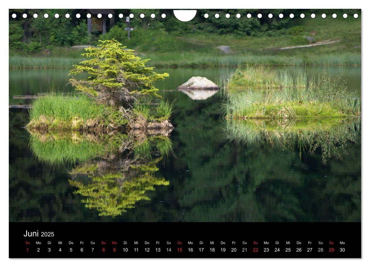 Bild: 9783435685011 | Bayerischer Wald - der Osten Bayerns (Wandkalender 2025 DIN A4...