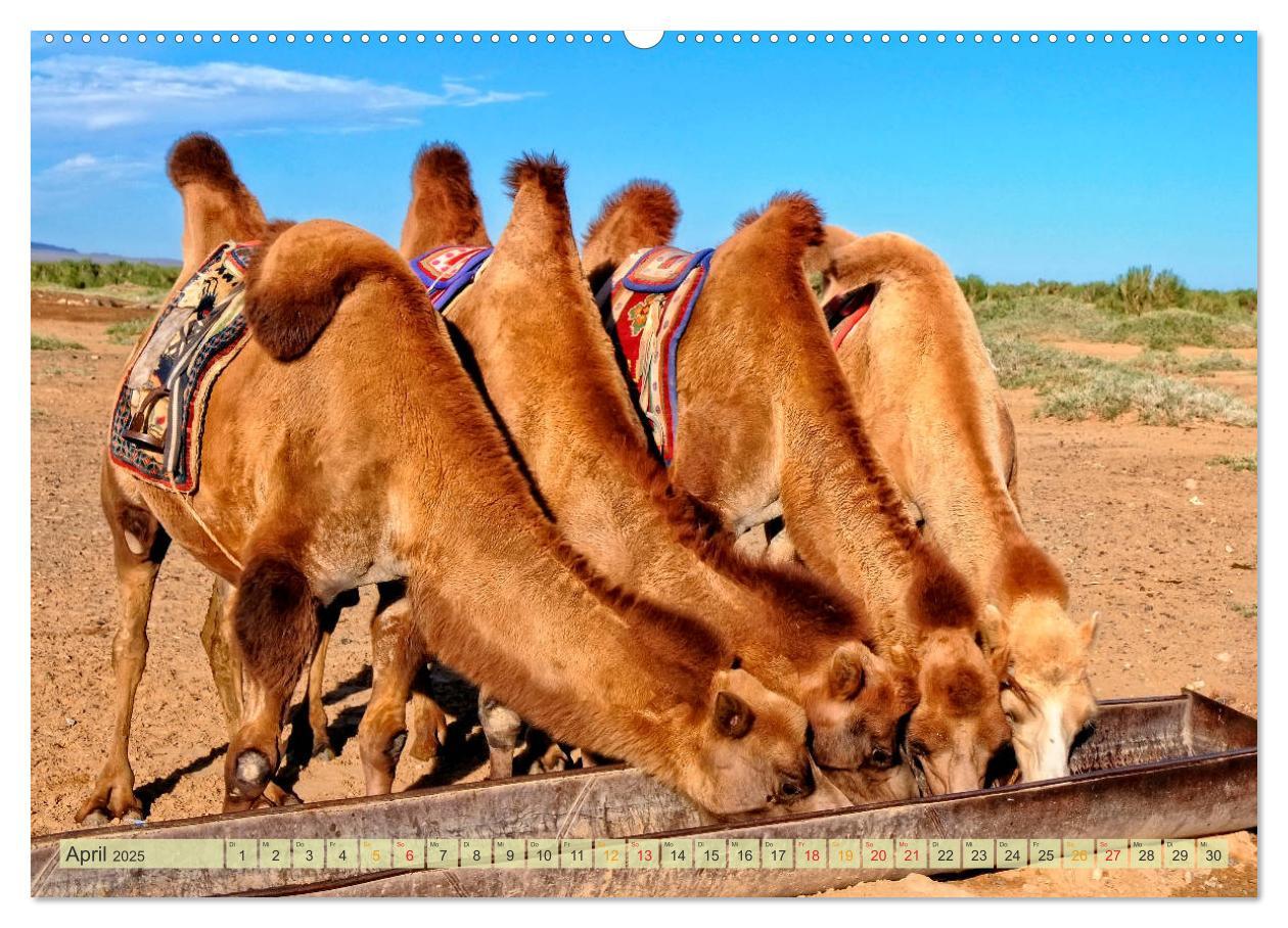 Bild: 9783435435548 | Reise durch Asien - Mongolei (hochwertiger Premium Wandkalender...