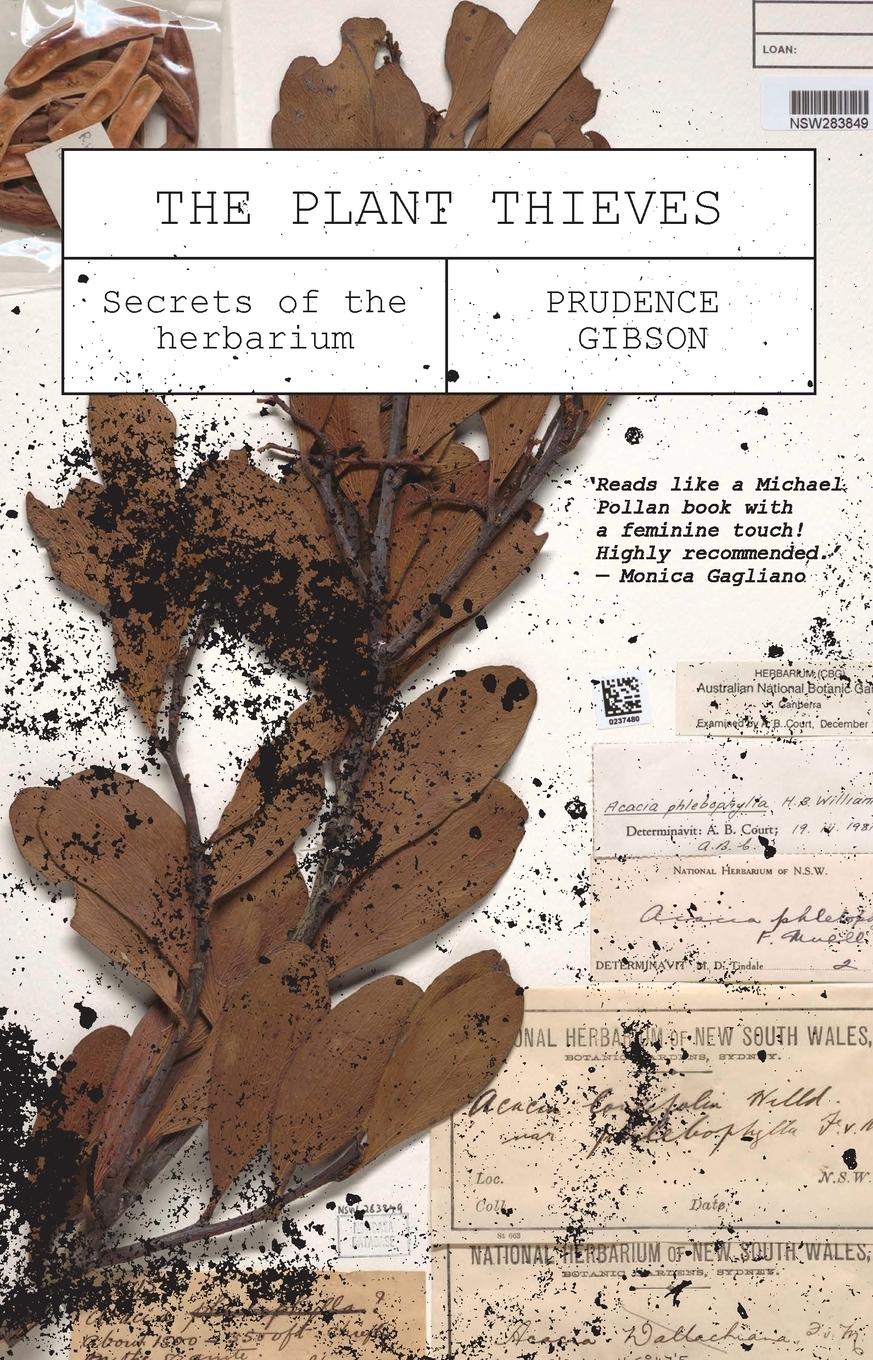 Cover: 9781742237688 | The Plant Thieves | Secrets of the herbarium | Prudence Gibson | Buch