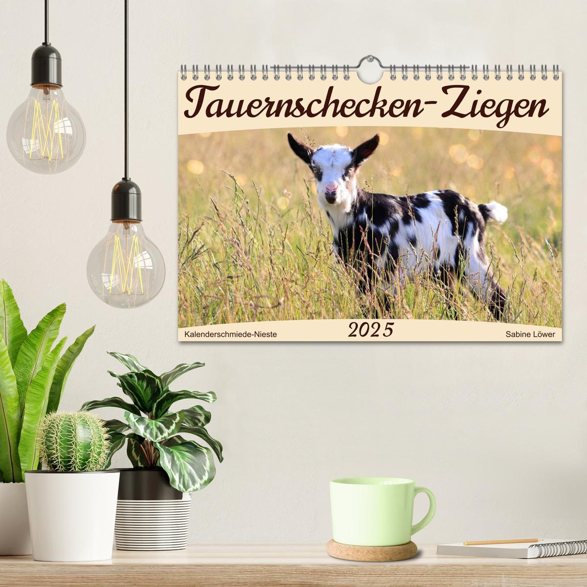 Bild: 9783435023844 | Tauernschecken-Ziegen (Wandkalender 2025 DIN A4 quer), CALVENDO...