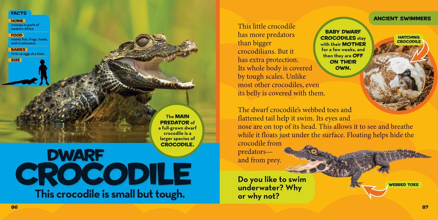 Bild: 9781426338182 | Little Kids First Big Book of Reptiles and Amphibians | Kids | Buch