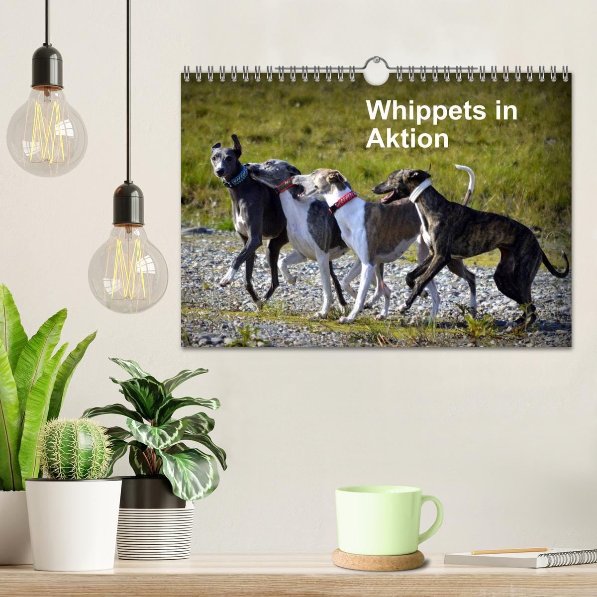 Bild: 9783435634910 | Whippets in Aktion (Wandkalender 2025 DIN A4 quer), CALVENDO...