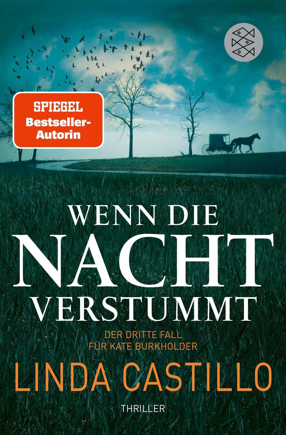 Cover: 9783596184521 | Wenn die Nacht verstummt | Linda Castillo | Taschenbuch | 336 S.