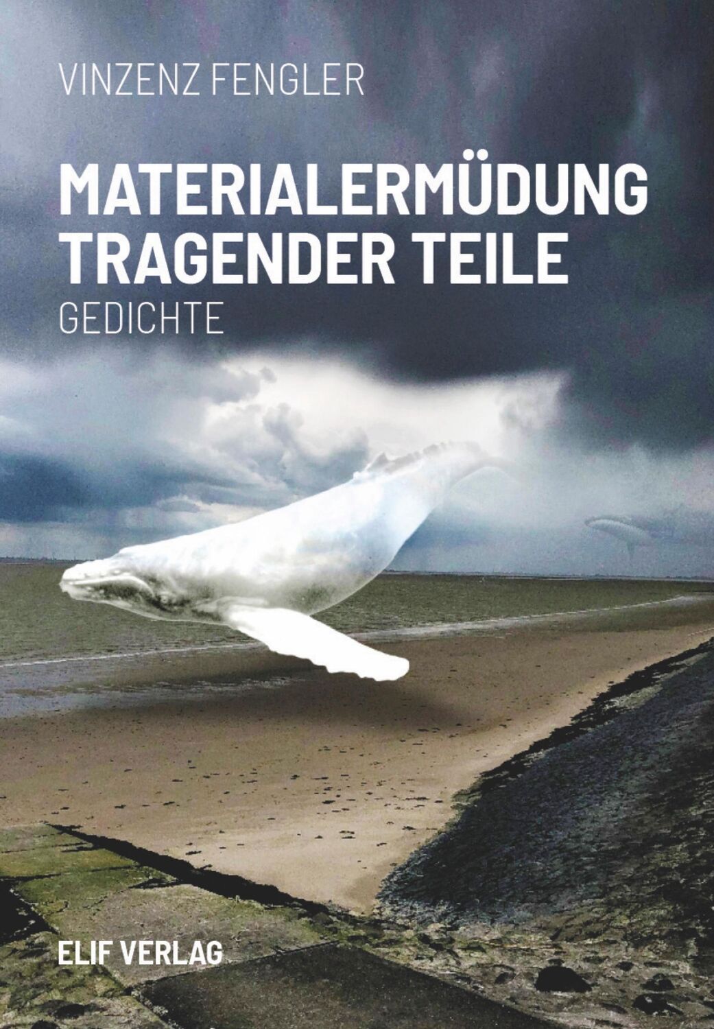 Cover: 9783946989660 | Materialermüdung tragender Teile | Gedichte | Vinzenz Fengler | Buch