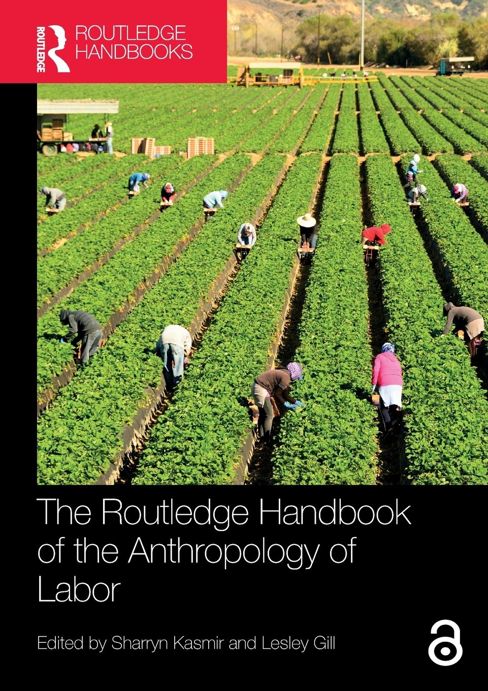 Cover: 9780367745516 | The Routledge Handbook of the Anthropology of Labor | Sharryn Kasmir