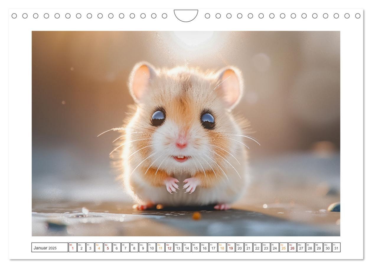 Bild: 9783435069958 | Lustige Hamster (Wandkalender 2025 DIN A4 quer), CALVENDO...