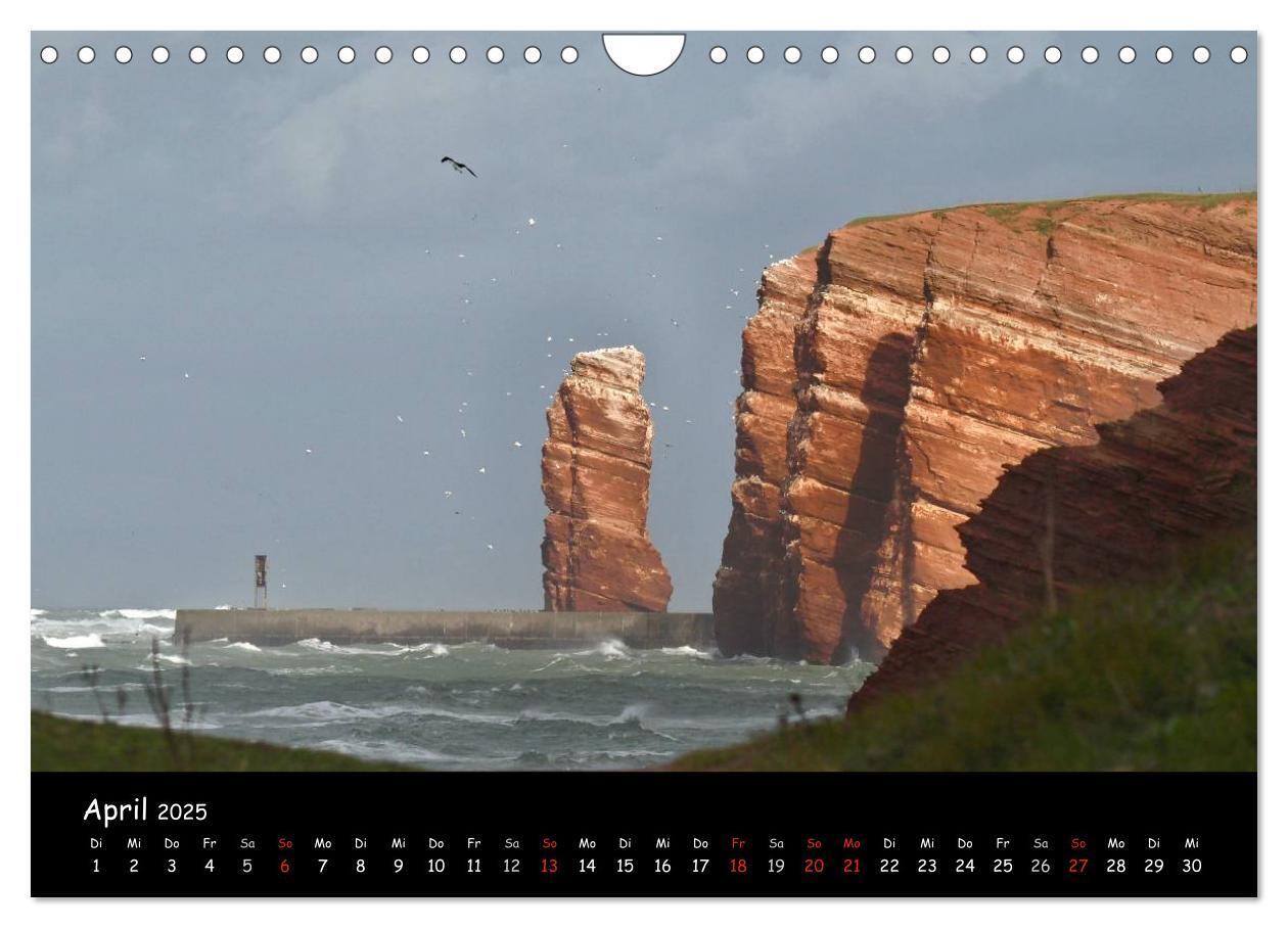 Bild: 9783435793488 | Helgoland und die Düne (Wandkalender 2025 DIN A4 quer), CALVENDO...