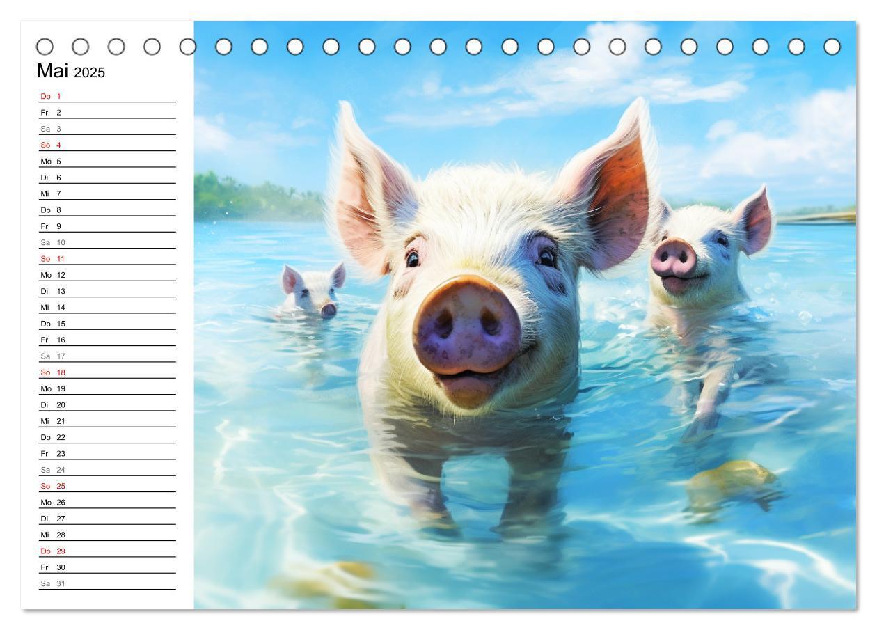 Bild: 9783383834882 | Schweinereien in der Karibik. Sonne und Spaß mit schwimmenden...