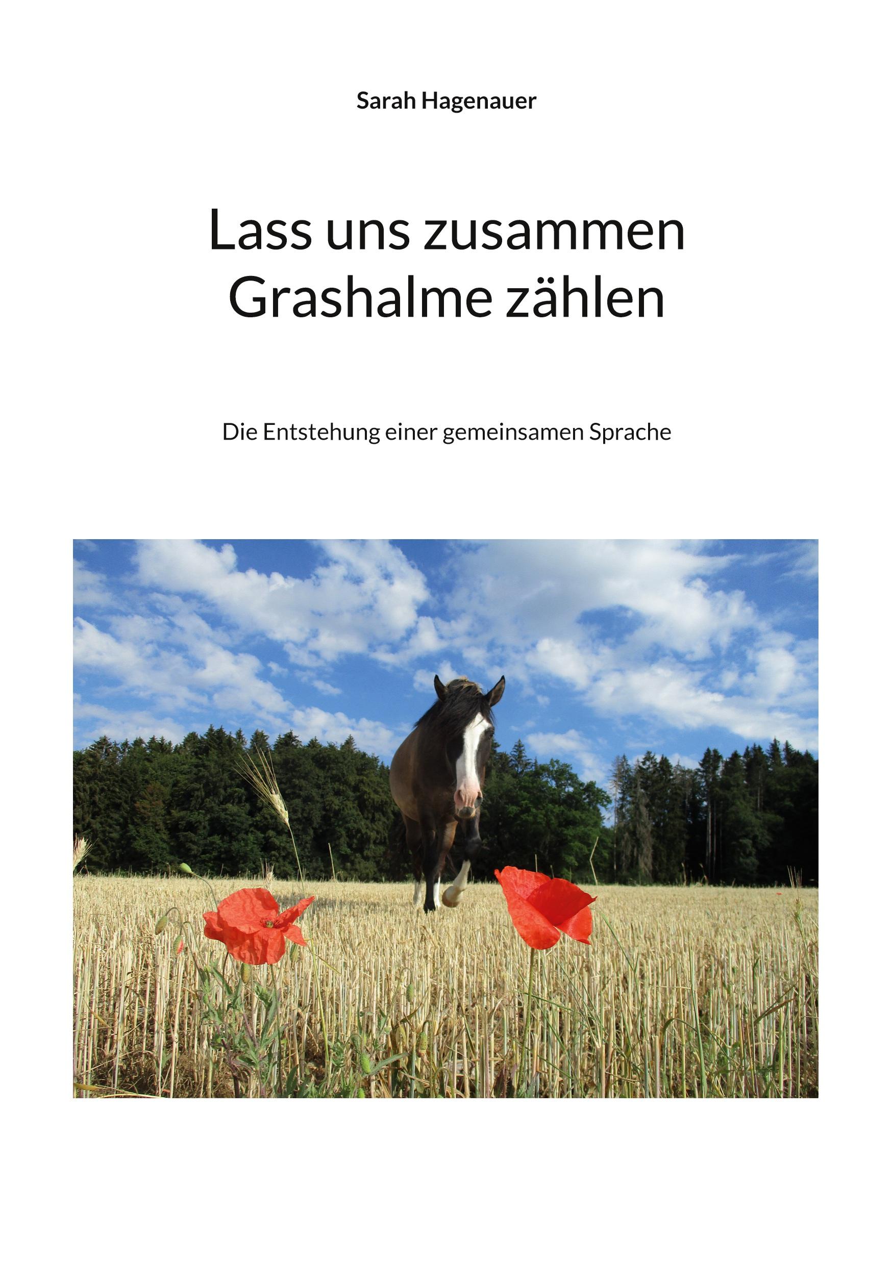 Cover: 9783757861339 | Lass uns zusammen Grashalme zählen | Sarah Hagenauer | Taschenbuch