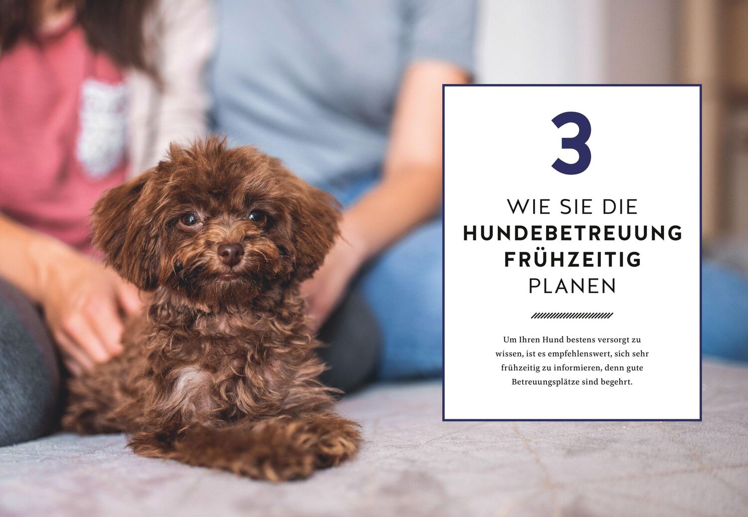 Bild: 9783833884887 | Wohin mit meinem Hund? | Perfekt betreut auf Zeit | Ursula Kufner