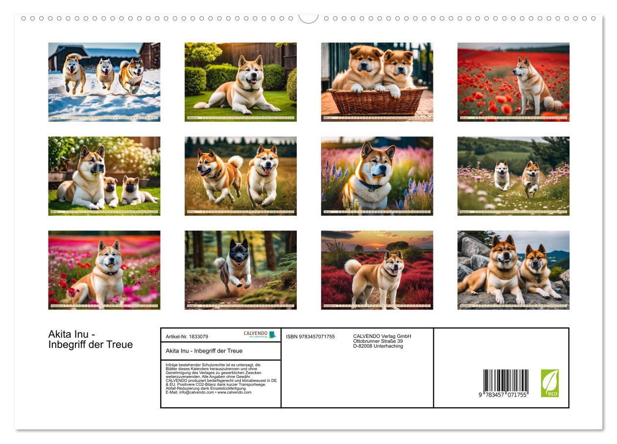 Bild: 9783457071755 | Akita Inu - Inbegriff der Treue (hochwertiger Premium Wandkalender...