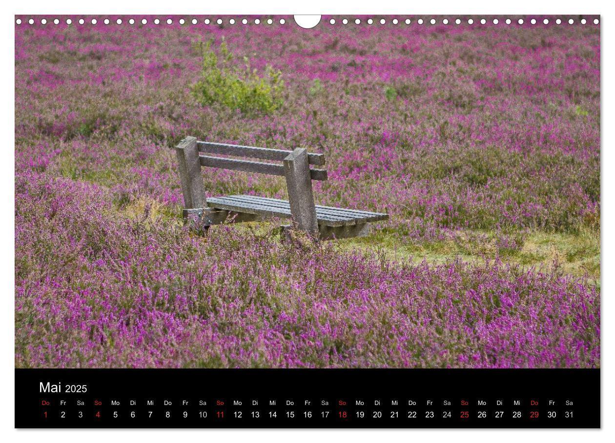 Bild: 9783435775415 | Lüneburger Heide (Wandkalender 2025 DIN A3 quer), CALVENDO...