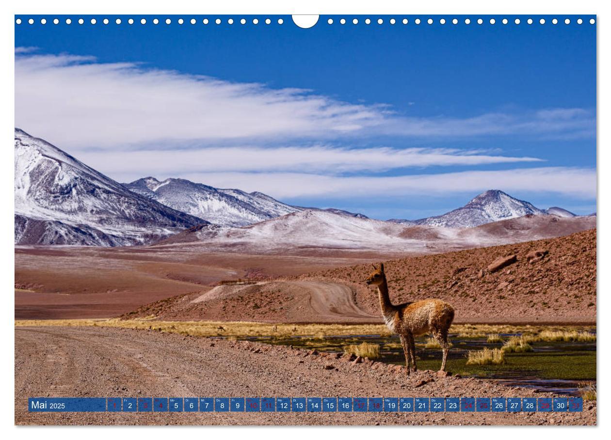 Bild: 9783435358809 | Atacama: Karge Wüste, mächtige Vulkane und farbenprächtige Lagunen...