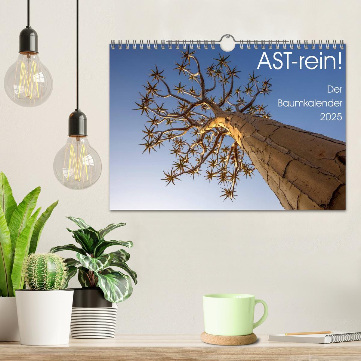 Bild: 9783435466689 | Astrein! - Der Baumkalender 2025 (Wandkalender 2025 DIN A4 quer),...