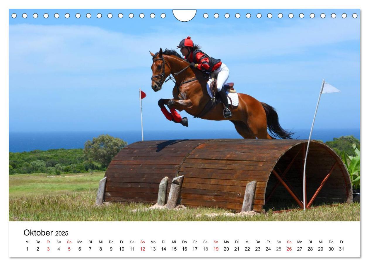 Bild: 9783435618507 | Vielseitigkeitsreiten (Wandkalender 2025 DIN A4 quer), CALVENDO...