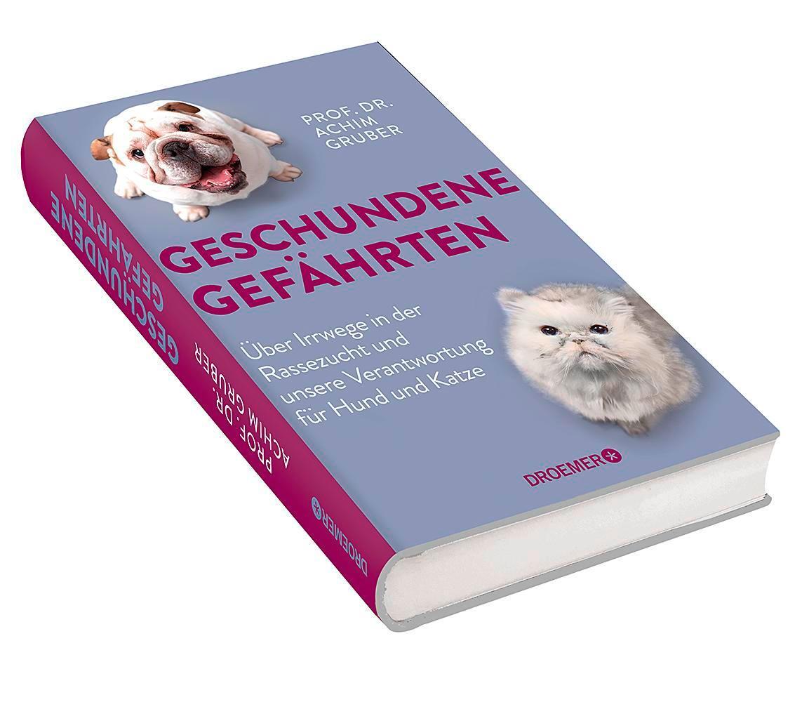 Bild: 9783426279083 | Geschundene Gefährten | Achim Gruber | Buch | 288 S. | Deutsch | 2023