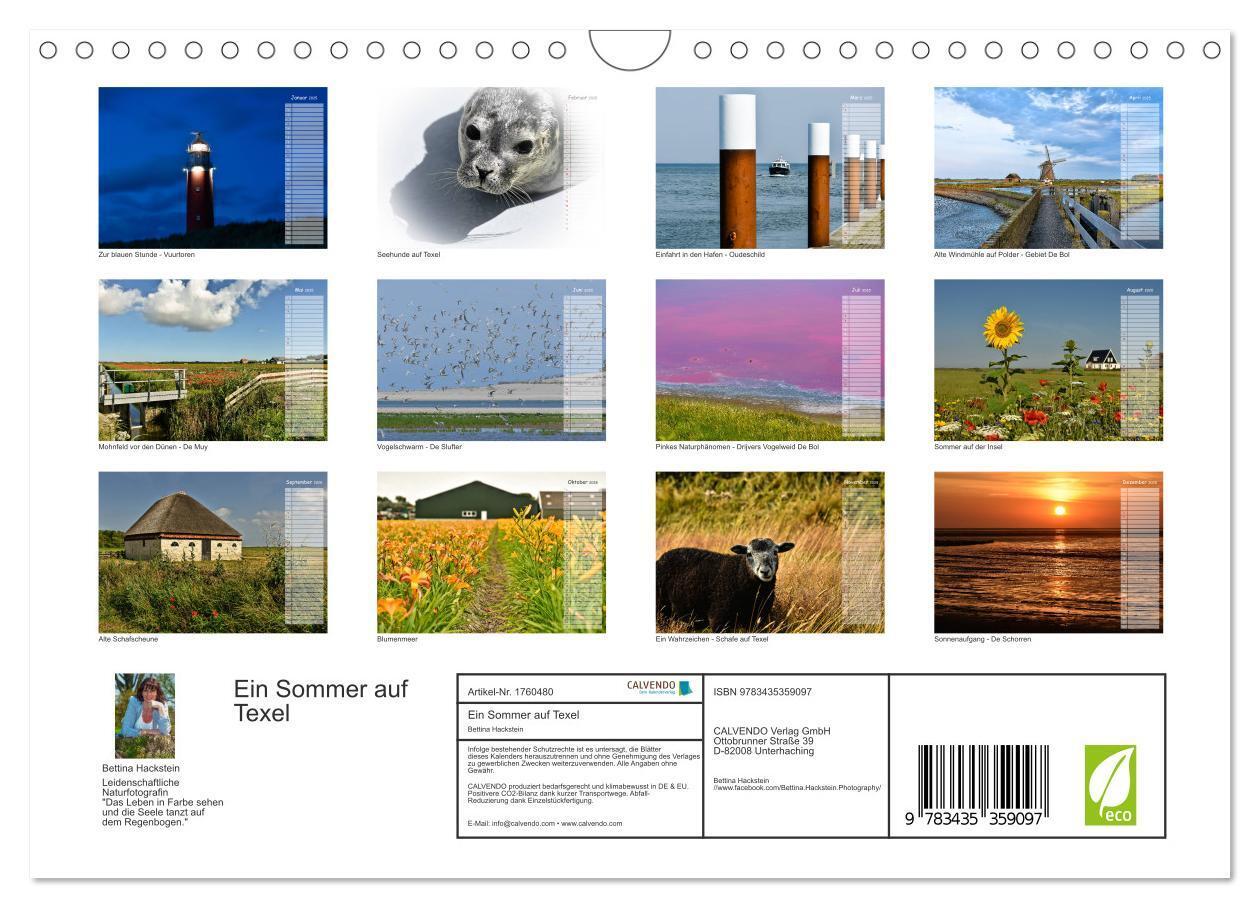 Bild: 9783435359097 | Ein Sommer auf Texel (Wandkalender 2025 DIN A4 quer), CALVENDO...