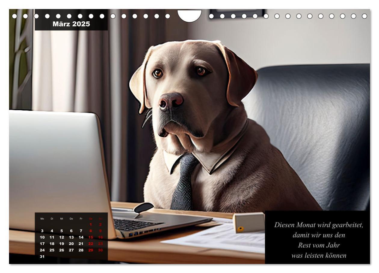 Bild: 9783435368617 | Der witzige Labrador-Kalender (Wandkalender 2025 DIN A4 quer),...