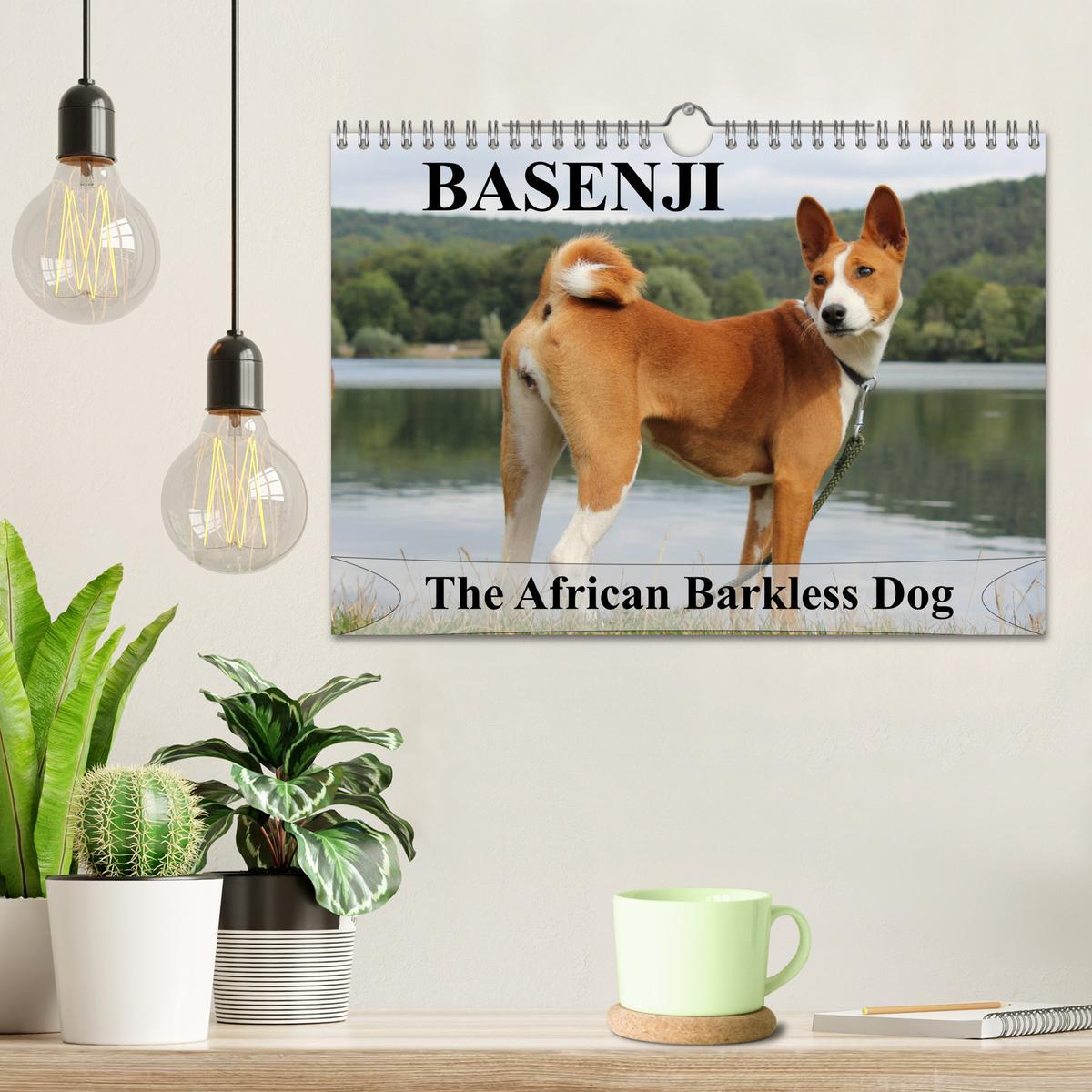 Bild: 9781325949748 | Basenji the African Barkless Dog (Wall Calendar 2025 DIN A4...