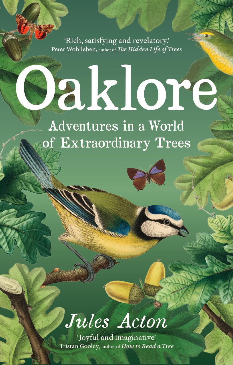 Cover: 9781771649667 | Oaklore | Adventures in a World of Extraordinary Trees | Jules Acton