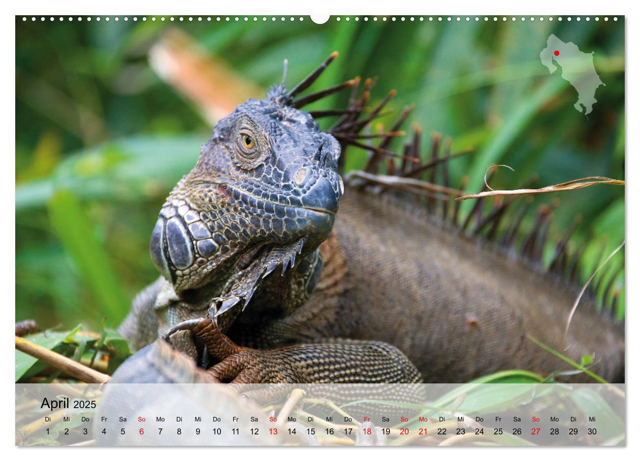 Bild: 9783435017430 | Costa Rica - Panama - Nicaragua (Wandkalender 2025 DIN A2 quer),...