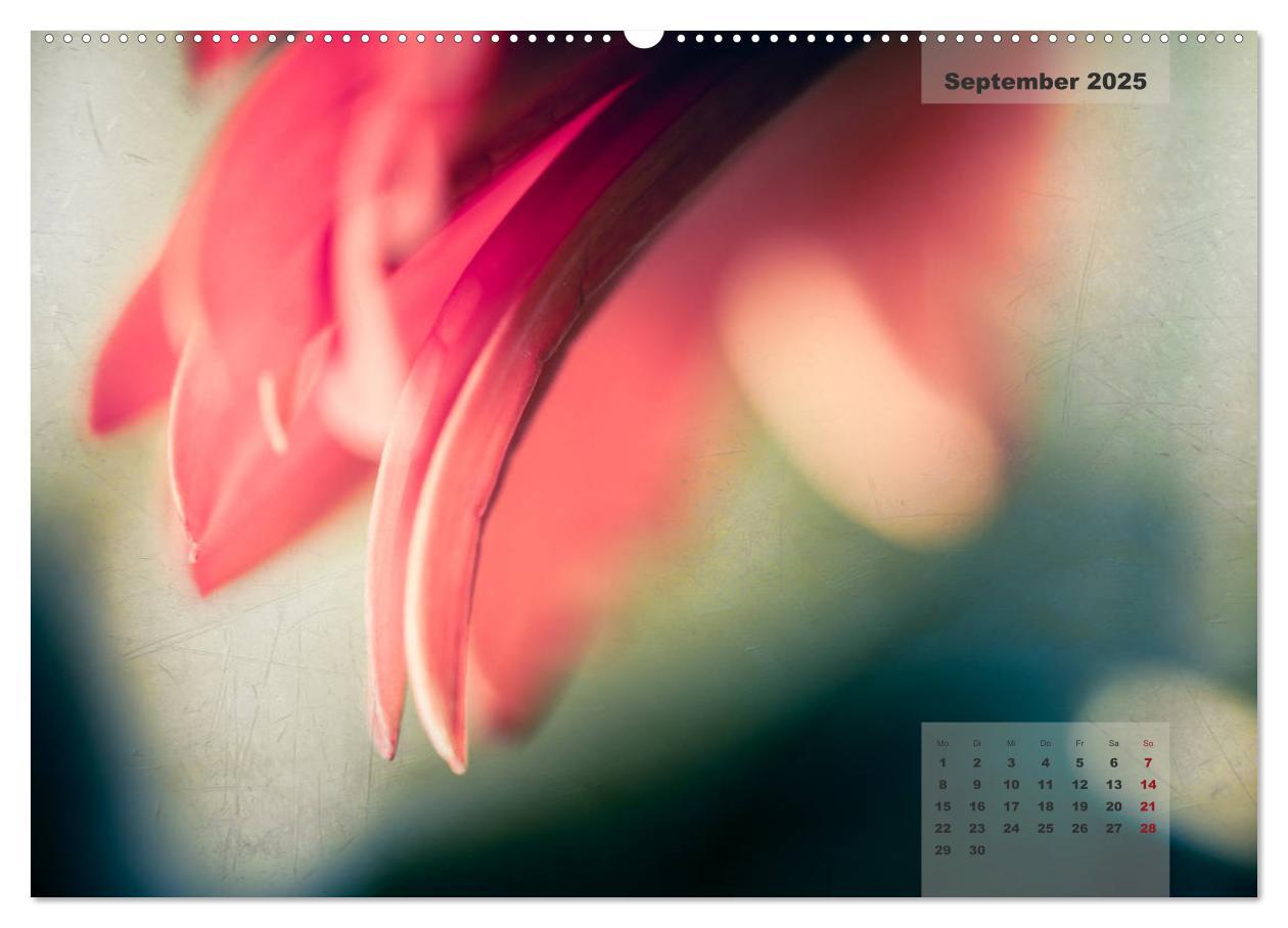 Bild: 9783435304523 | Blüten im Retro-Style (Wandkalender 2025 DIN A2 quer), CALVENDO...