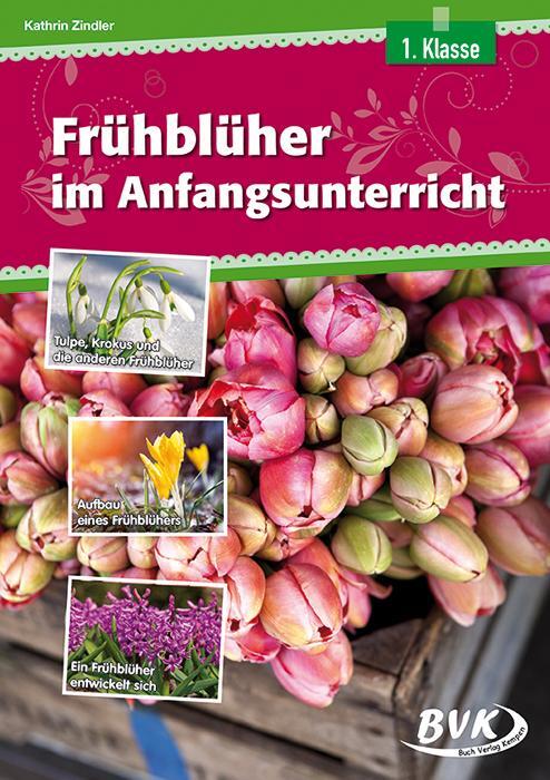 Cover: 9783867405676 | Frühblüher im Anfangsunterricht | Kathrin Zindler | Broschüre | 76 S.