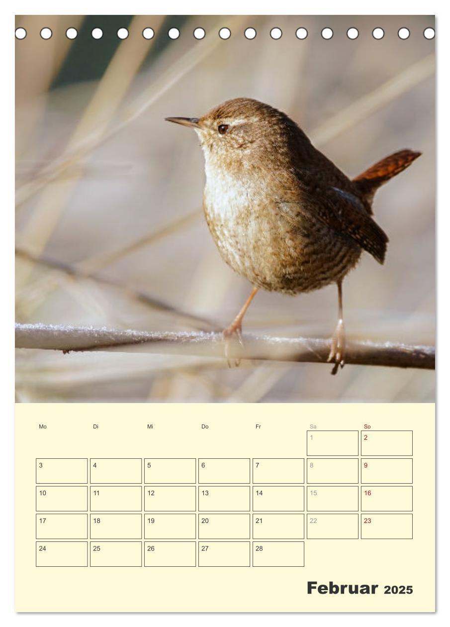 Bild: 9783435910656 | Vogelwelt an der Sieg (Tischkalender 2025 DIN A5 hoch), CALVENDO...