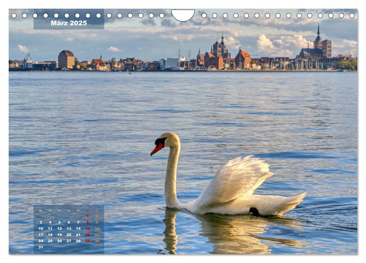 Bild: 9783435089345 | An der Ostseeküste - Deutschlands schönste Seite (Wandkalender 2025...