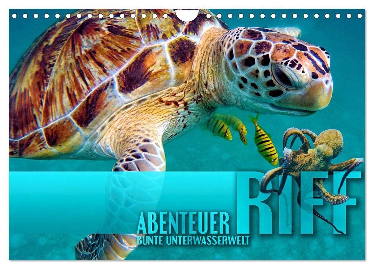 Cover: 9783383984457 | Abenteuer Riff - bunte Unterwasserwelt (Wandkalender 2025 DIN A4...