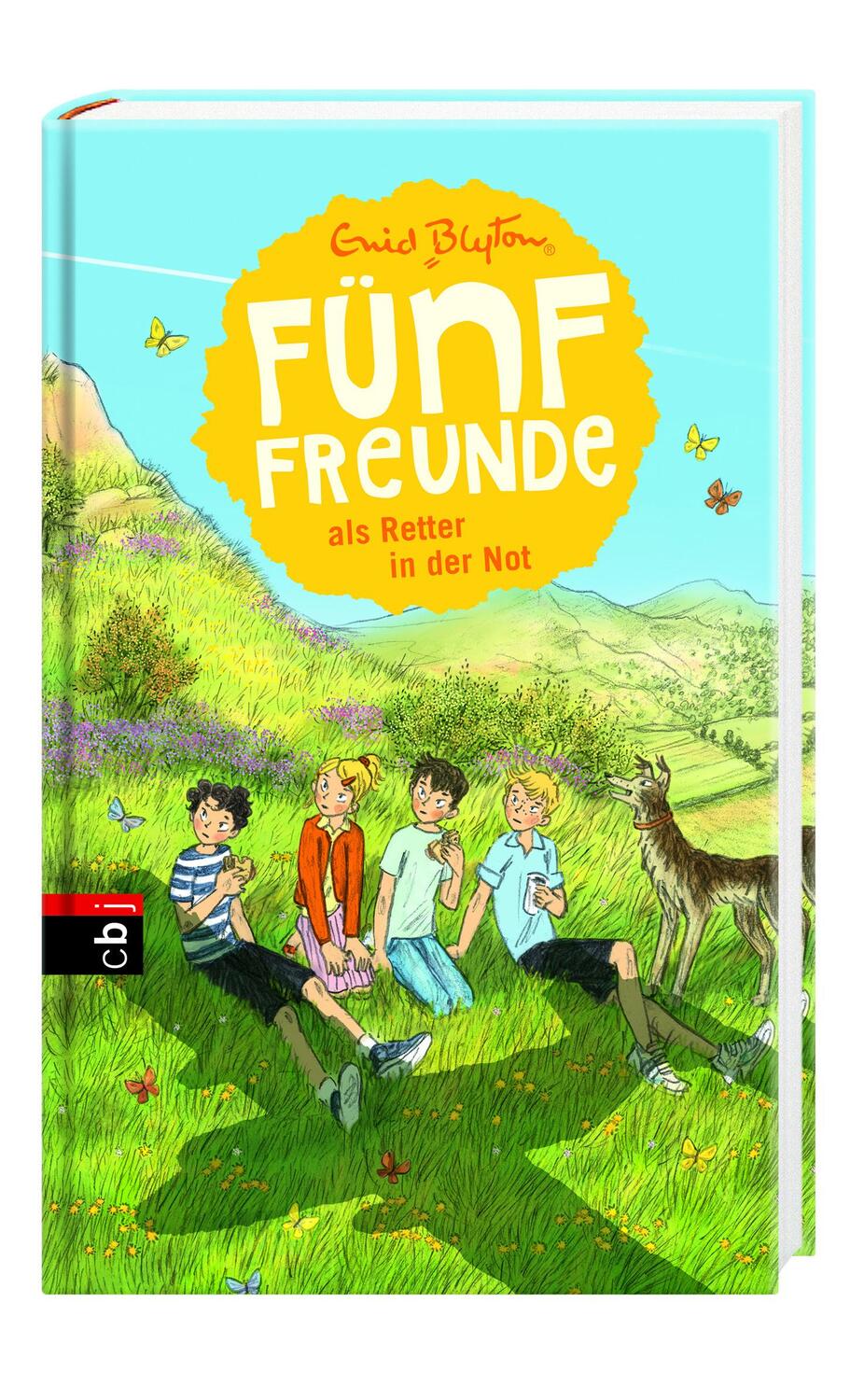 Bild: 9783570171691 | Fünf Freunde als Retter in der Not | Enid Blyton | Buch | Fünf Freunde