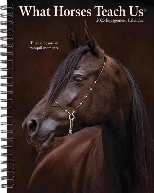 Cover: 9781549246203 | What Horses Teach Us 2025 6.5 X 8.5 Engagement Calendar | Press | 2025