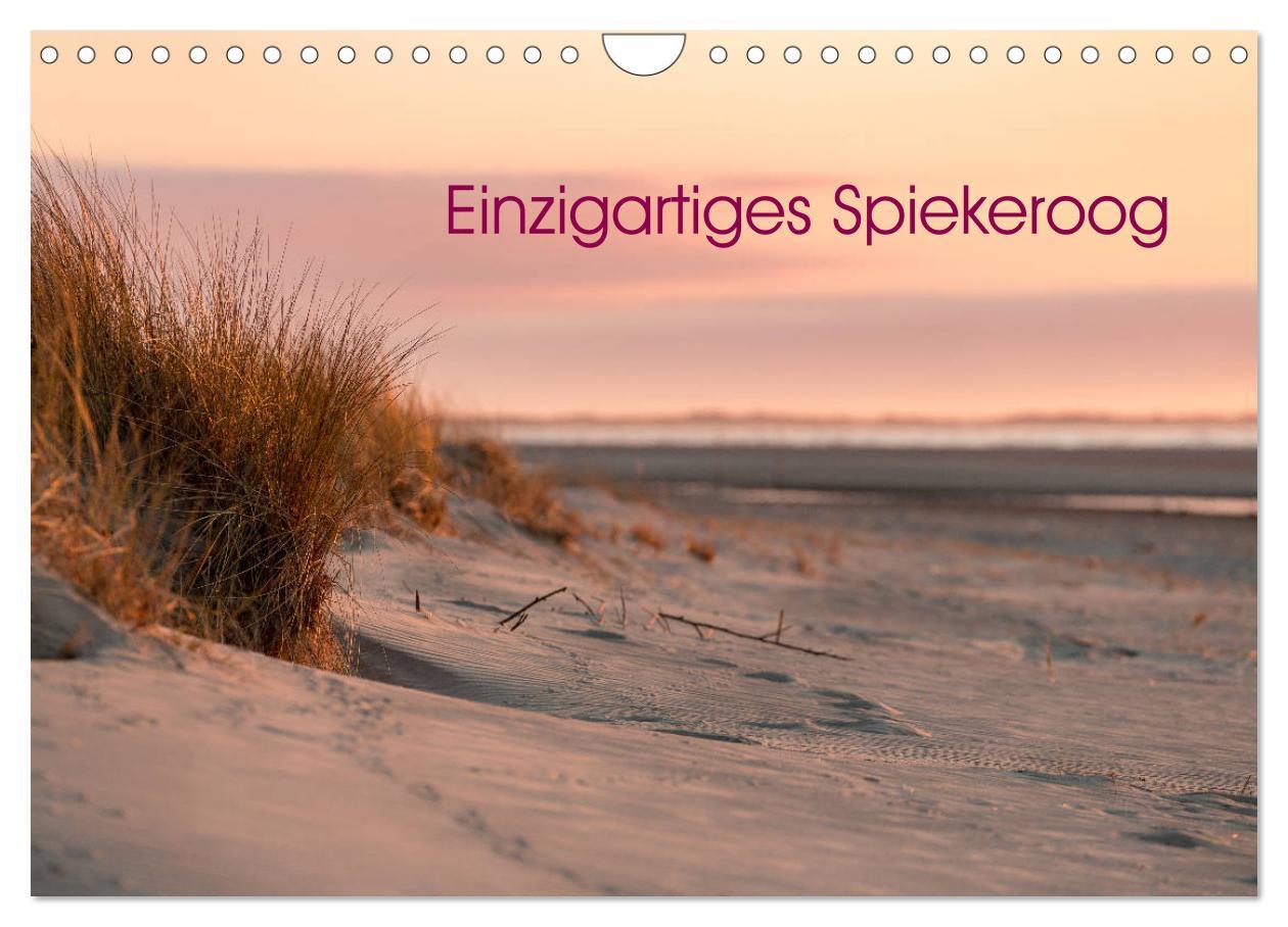 Cover: 9783435368105 | Einzigartiges Spiekeroog (Wandkalender 2025 DIN A4 quer), CALVENDO...