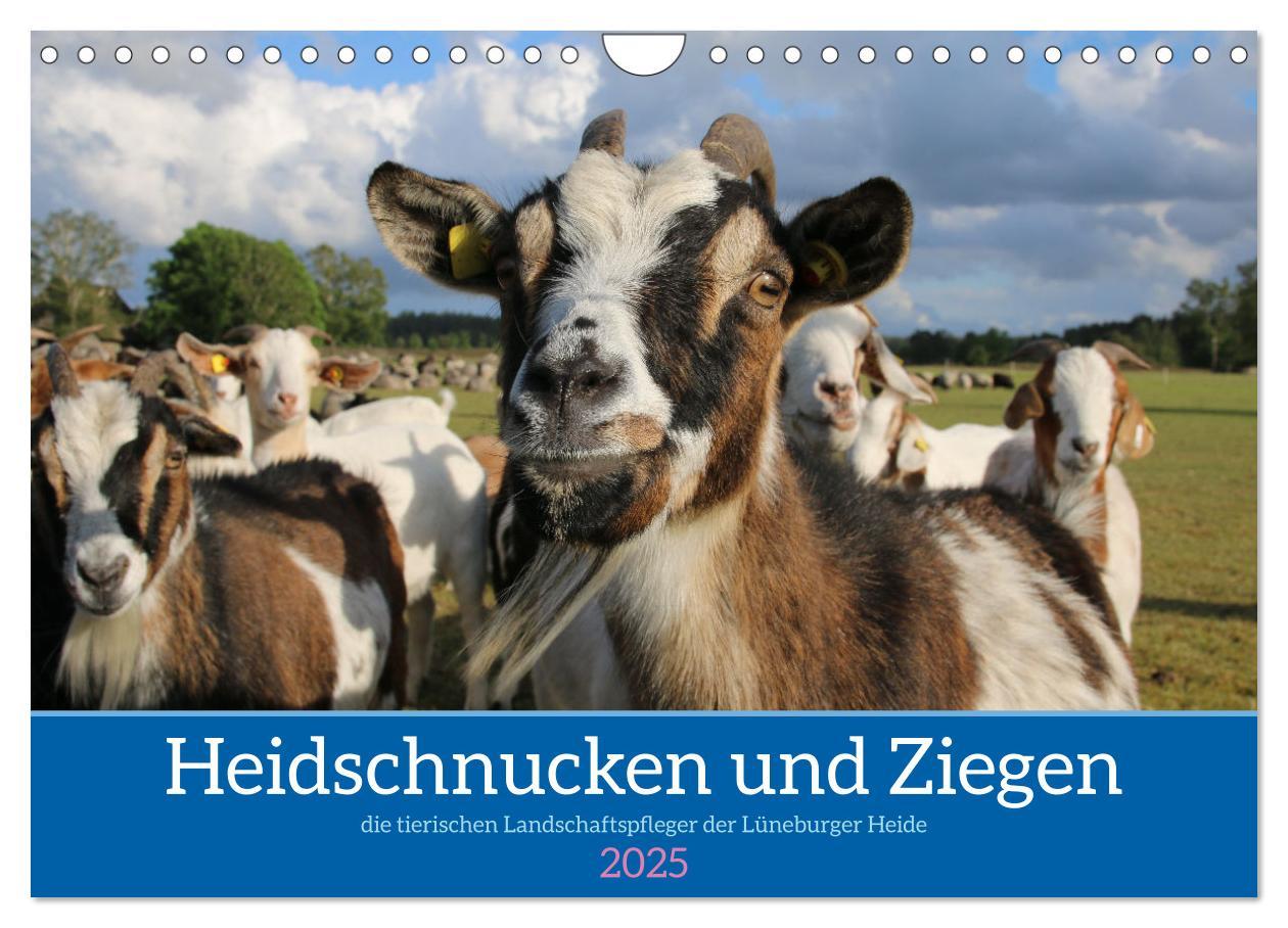 Cover: 9783383969867 | Heidschnucken und Ziegen die tierischen Landschaftspfleger der...