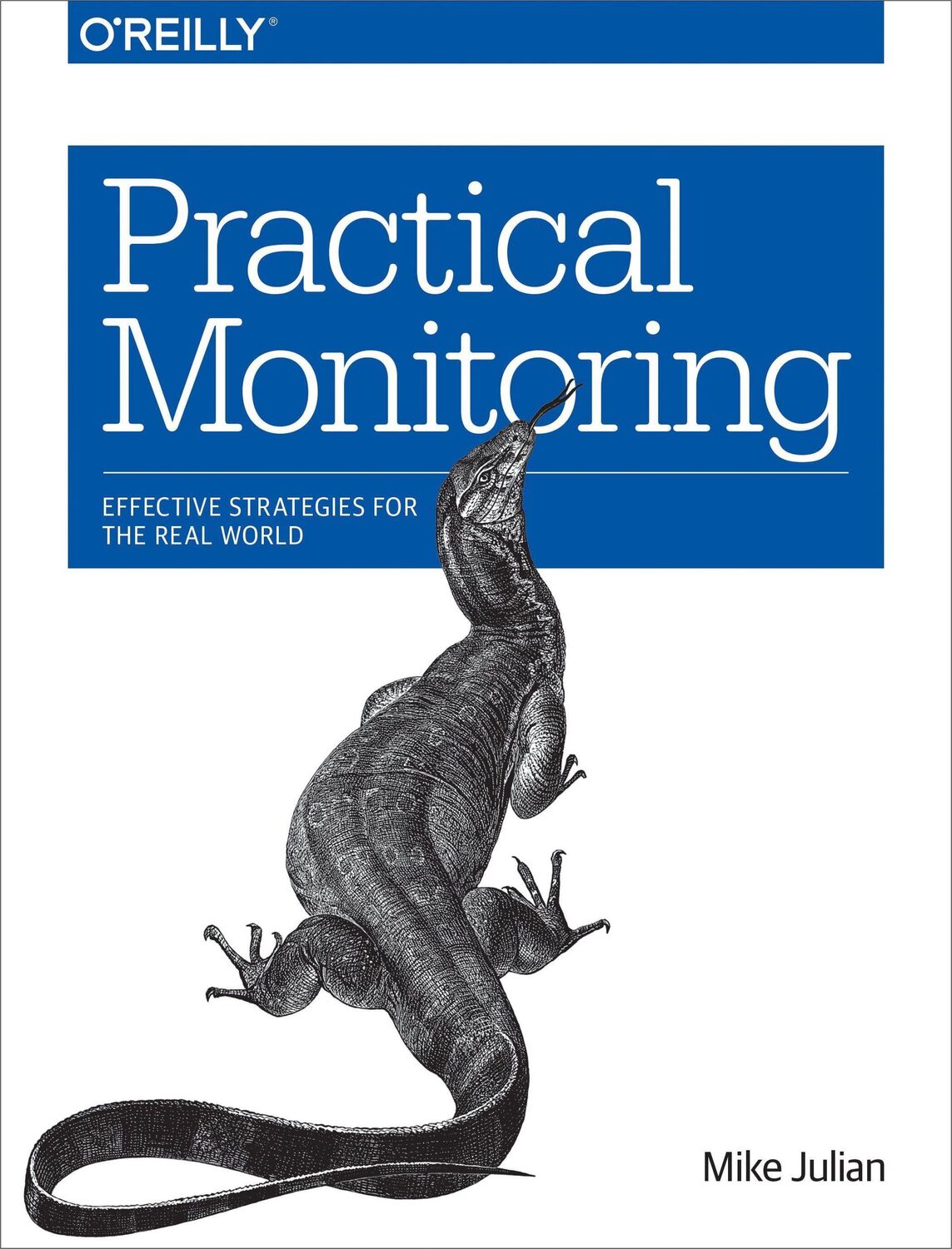 Cover: 9781491957356 | Practical Monitoring | Effective Strategies for the Real World | Buch