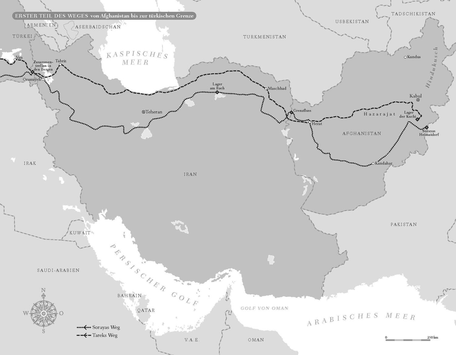 Bild: 9783570314296 | Über die Berge und über das Meer | Dirk Reinhardt | Taschenbuch | 2022