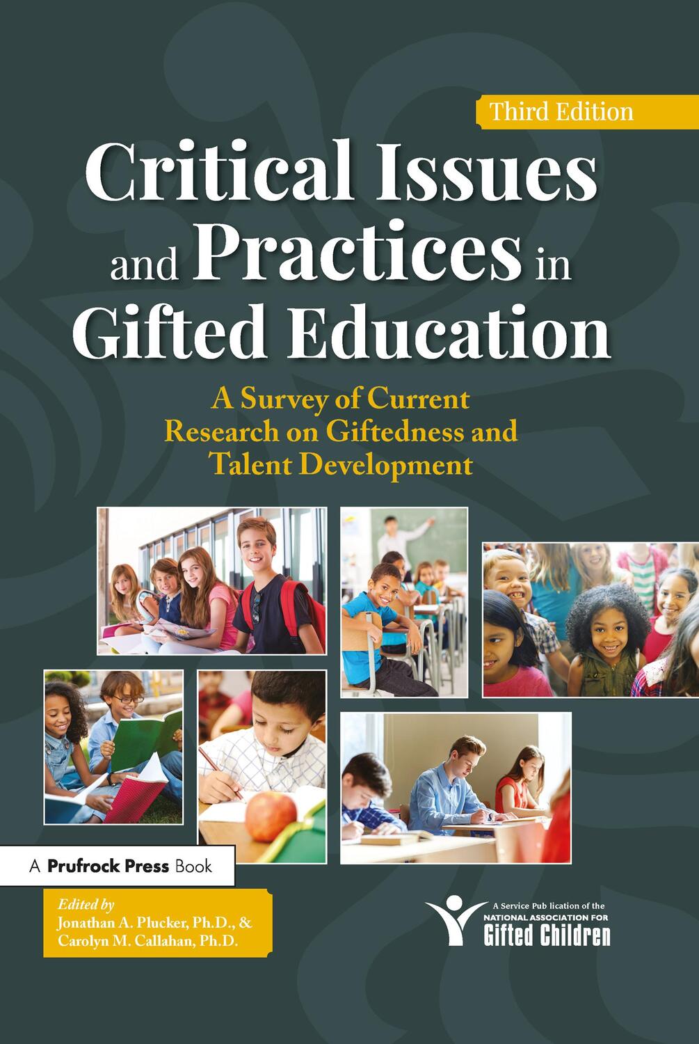 Cover: 9781646320516 | Critical Issues and Practices in Gifted Education | Plucker (u. a.)