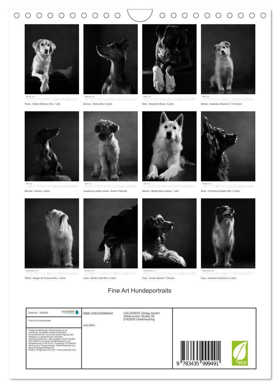 Bild: 9783435999491 | Fine Art Hundeportraits (Wandkalender 2025 DIN A4 hoch), CALVENDO...