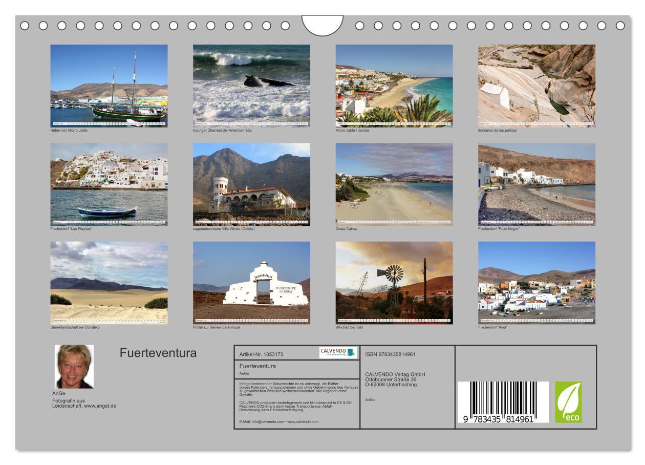 Bild: 9783435814961 | Fuerteventura (Wandkalender 2025 DIN A4 quer), CALVENDO Monatskalender