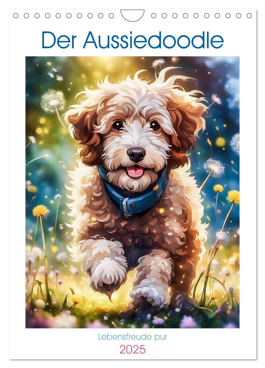 Cover: 9783383807046 | Der Aussiedoodle - Lebensfreude pur (Wandkalender 2025 DIN A4...