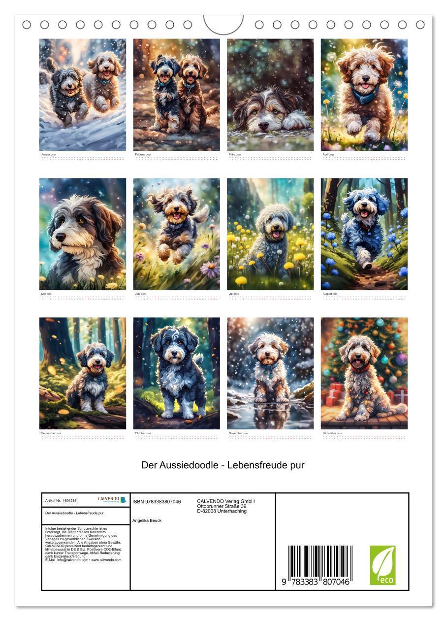 Bild: 9783383807046 | Der Aussiedoodle - Lebensfreude pur (Wandkalender 2025 DIN A4...