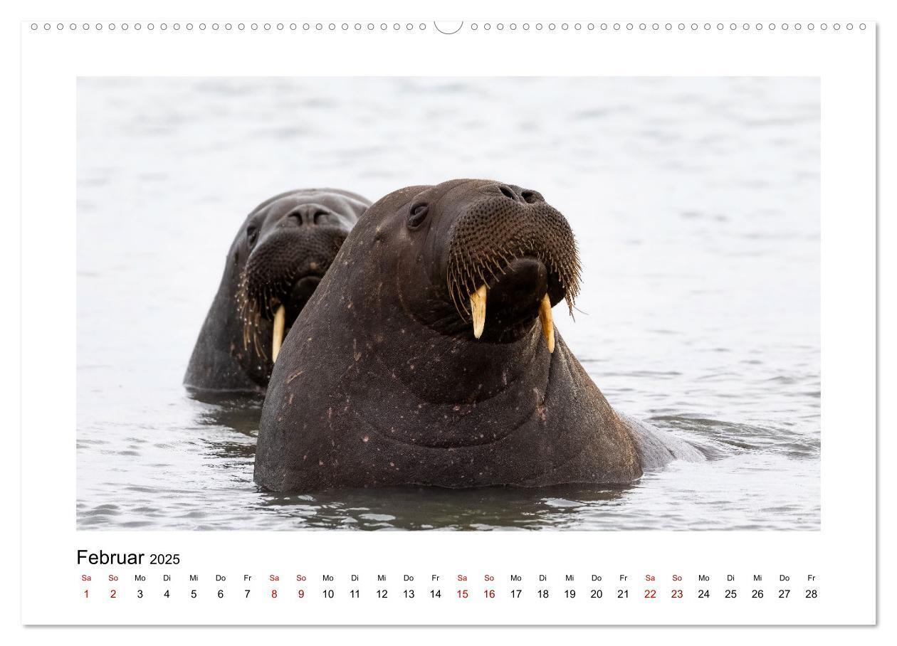 Bild: 9783383885167 | Spitzbergen und der Polarkreis (hochwertiger Premium Wandkalender...