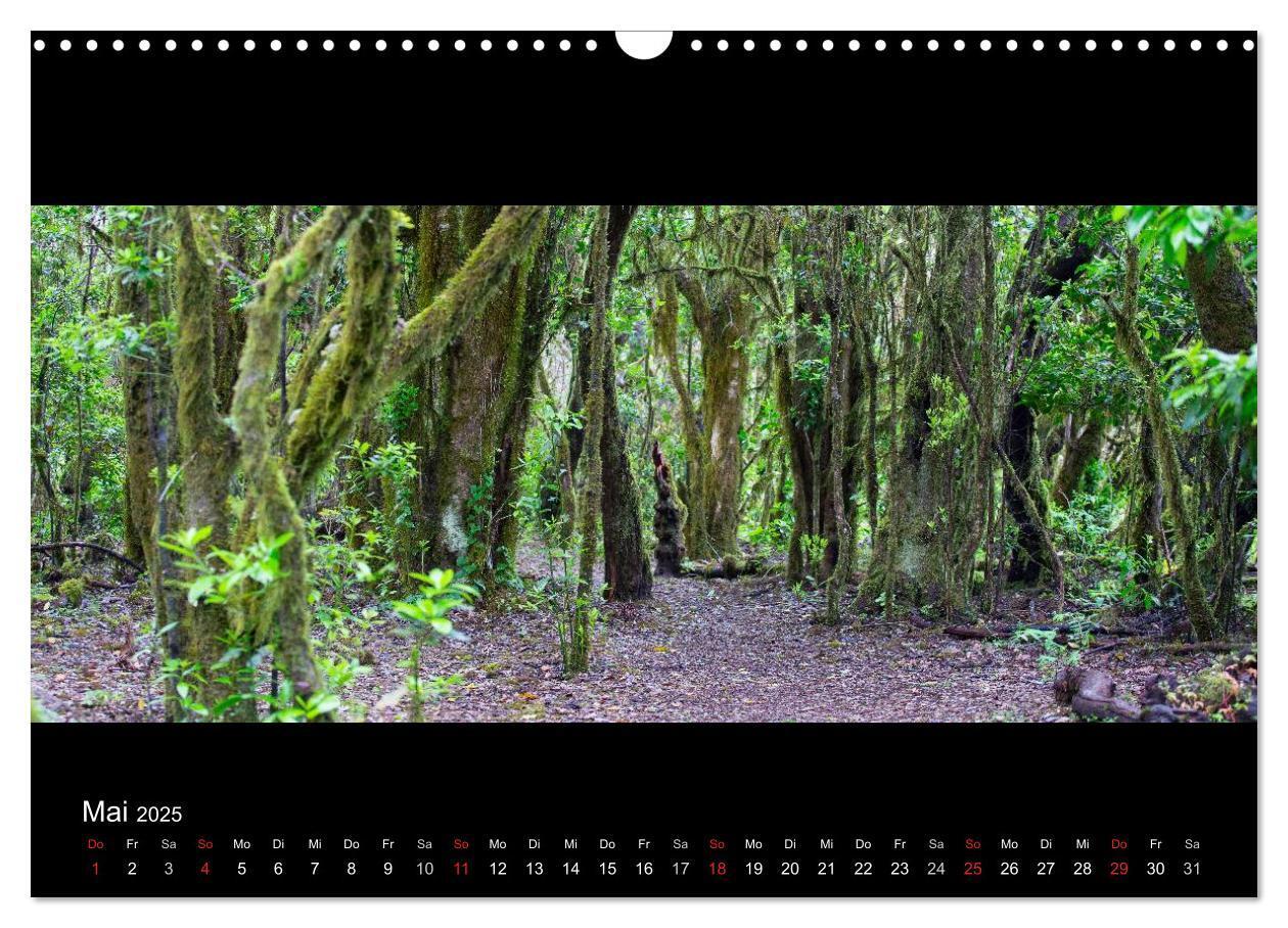 Bild: 9783435676521 | La Gomera - Kanarisches Naturparadies (Wandkalender 2025 DIN A3...