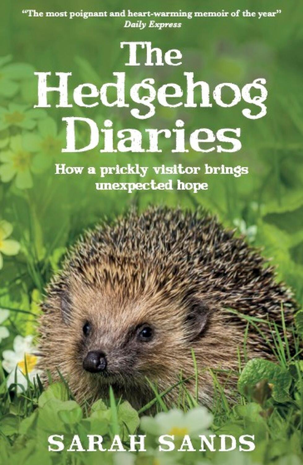 Cover: 9781915780201 | The Hedgehog Diaries | Sarah Sands | Taschenbuch | Englisch | 2024