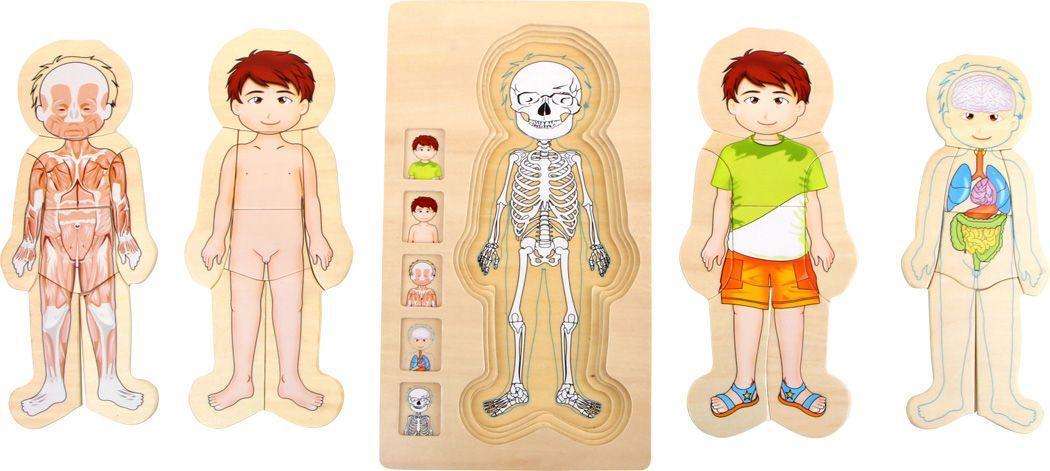 Bild: 4020972058423 | Schichtenpuzzle Anatomie Junge | Stück | 5842 | Deutsch | 2023