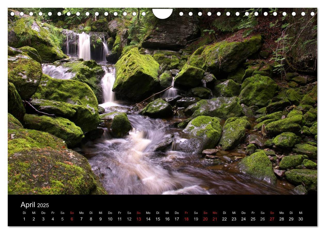 Bild: 9783435685011 | Bayerischer Wald - der Osten Bayerns (Wandkalender 2025 DIN A4...