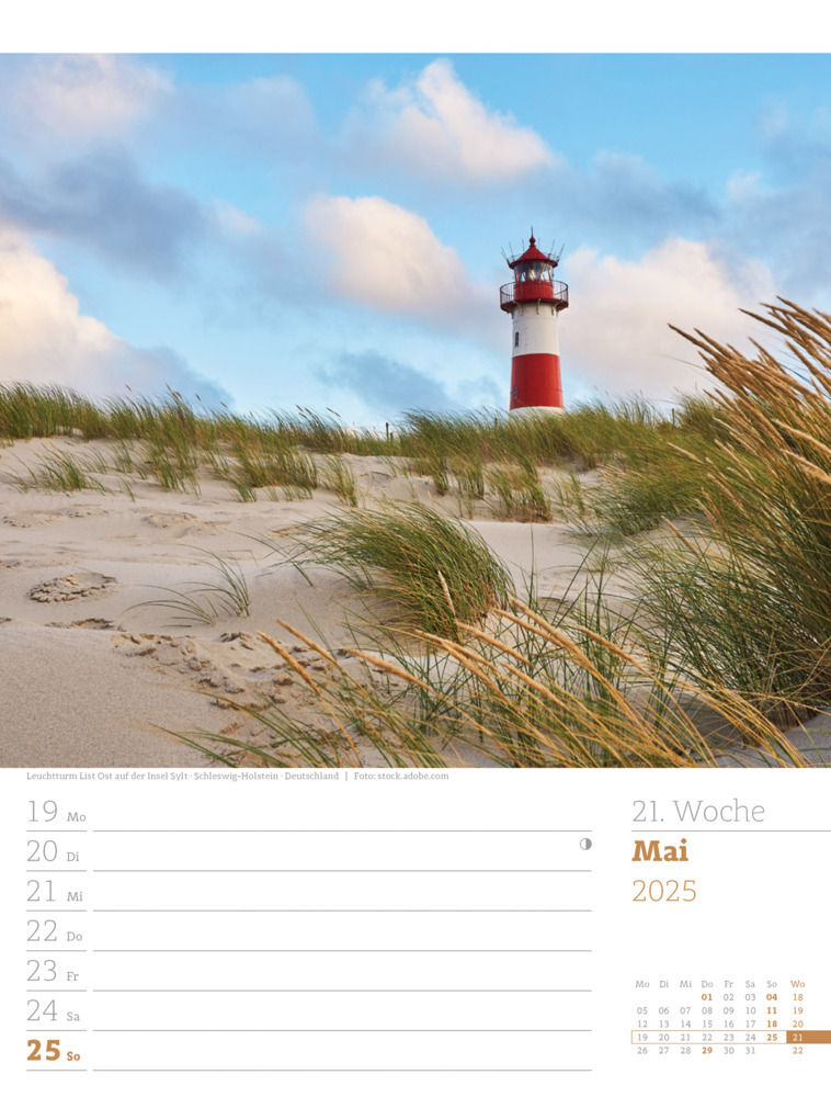 Bild: 9783838435039 | Am Meer - Wochenplaner Kalender 2025 | Ackermann Kunstverlag | 56 S.